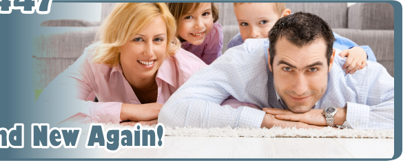 Expert Tile and Stone Care